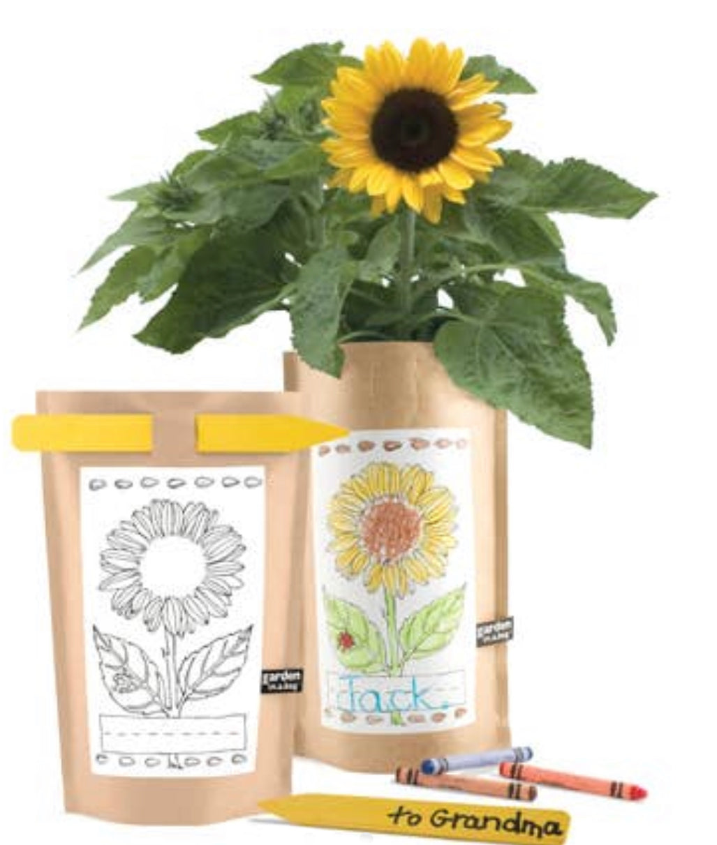 Kids Garden in a Bag Sunflower - Einstein's Attic