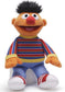 Sesame Street Plush & Puppets - Einstein's Attic