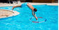 Sports American Ninja Warrior 4-in-1 Ultimate Water Obstacle Set - Einstein's Attic