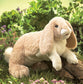 Puppet Floppy Bunny Rabbit - Einstein's Attic