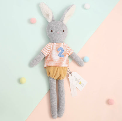 Birthday Bunny ages 2 &3 - Einstein's Attic