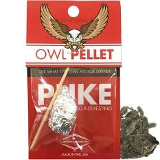 Owl Pellet Puke - Einstein's Attic