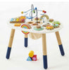 Sensory Activity Table