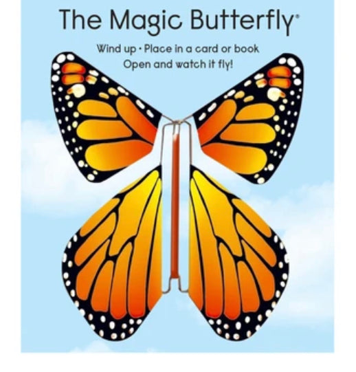The Magic Butterfly - Einstein's Attic