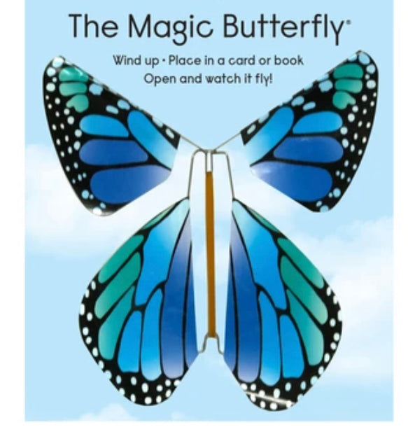 The Magic Butterfly - Einstein's Attic
